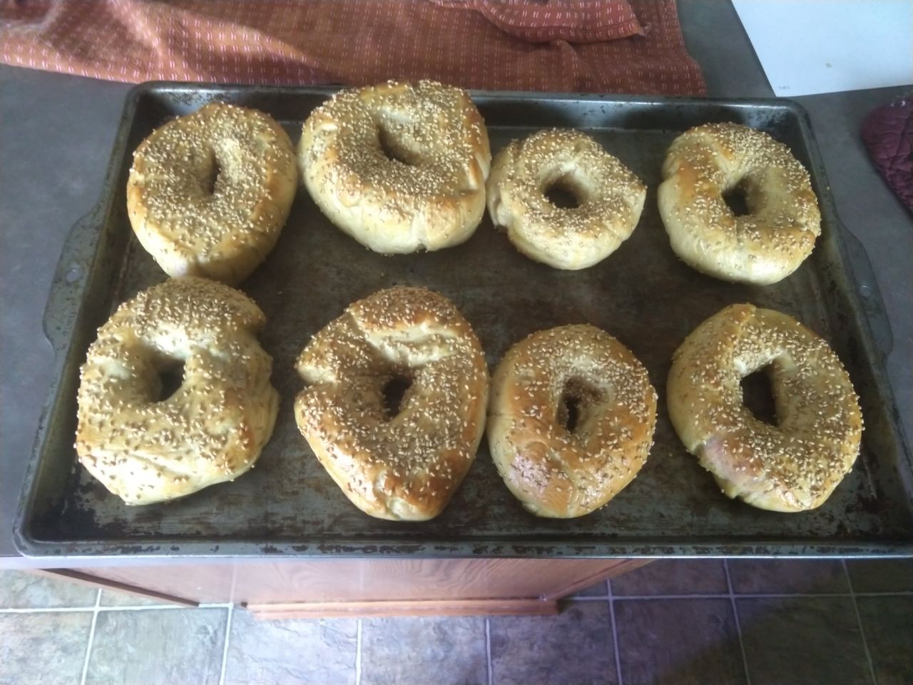 Bagels after baking. Bagels after baking.