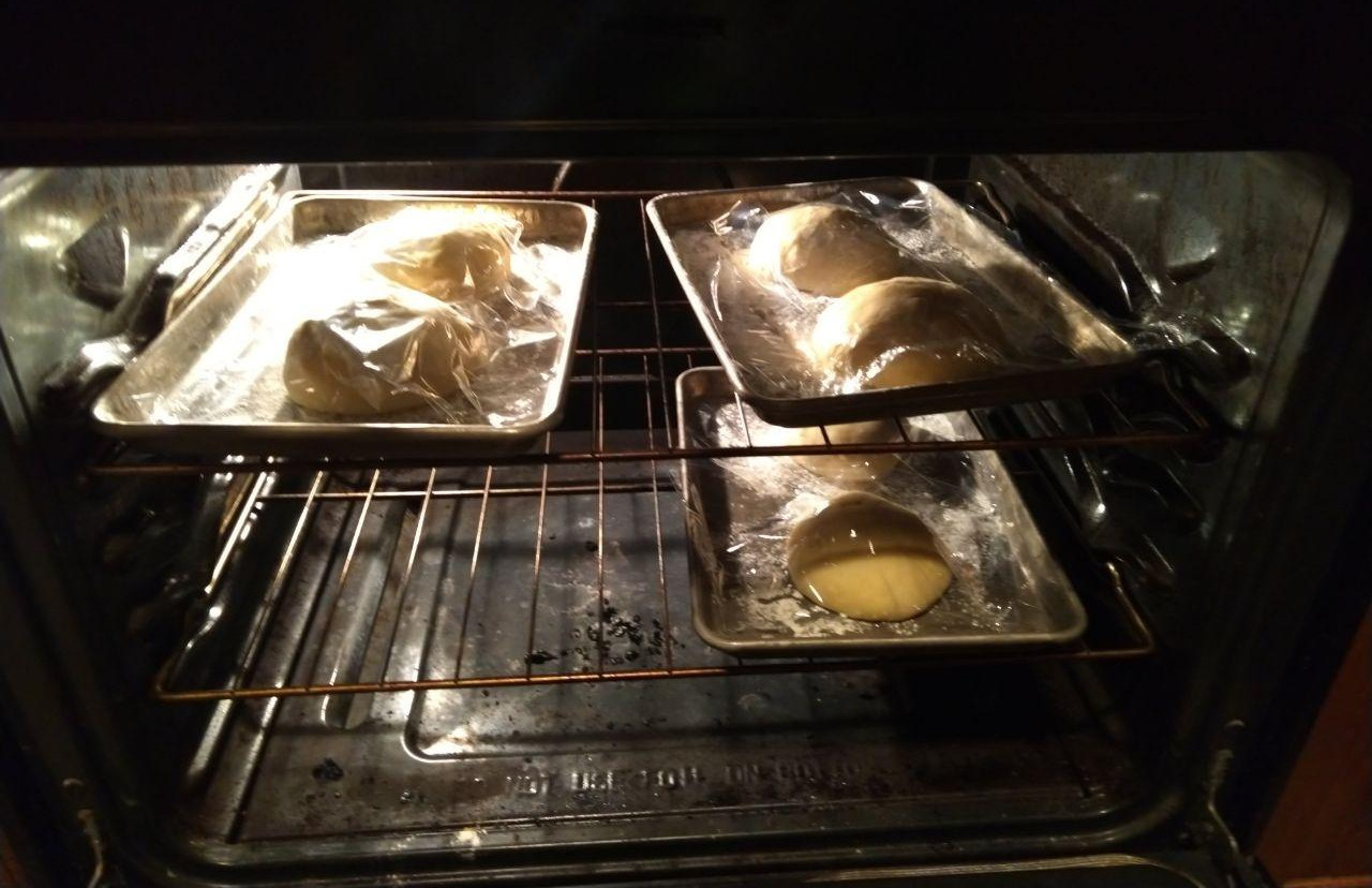 Buns rising in the oven. Buns rising in the oven.