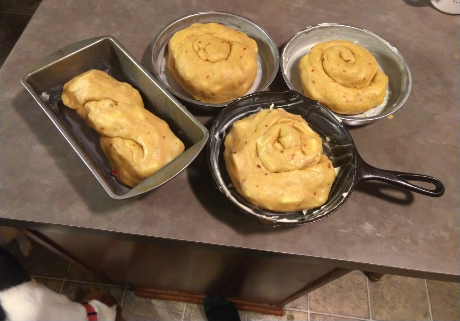 Four cheese bread loaves ready to rise.