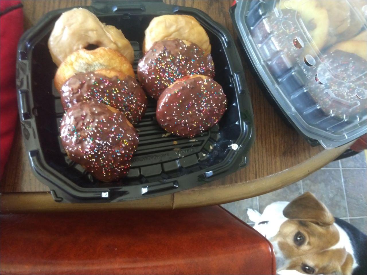 Donuts in a container with a hungry dog in the corner.