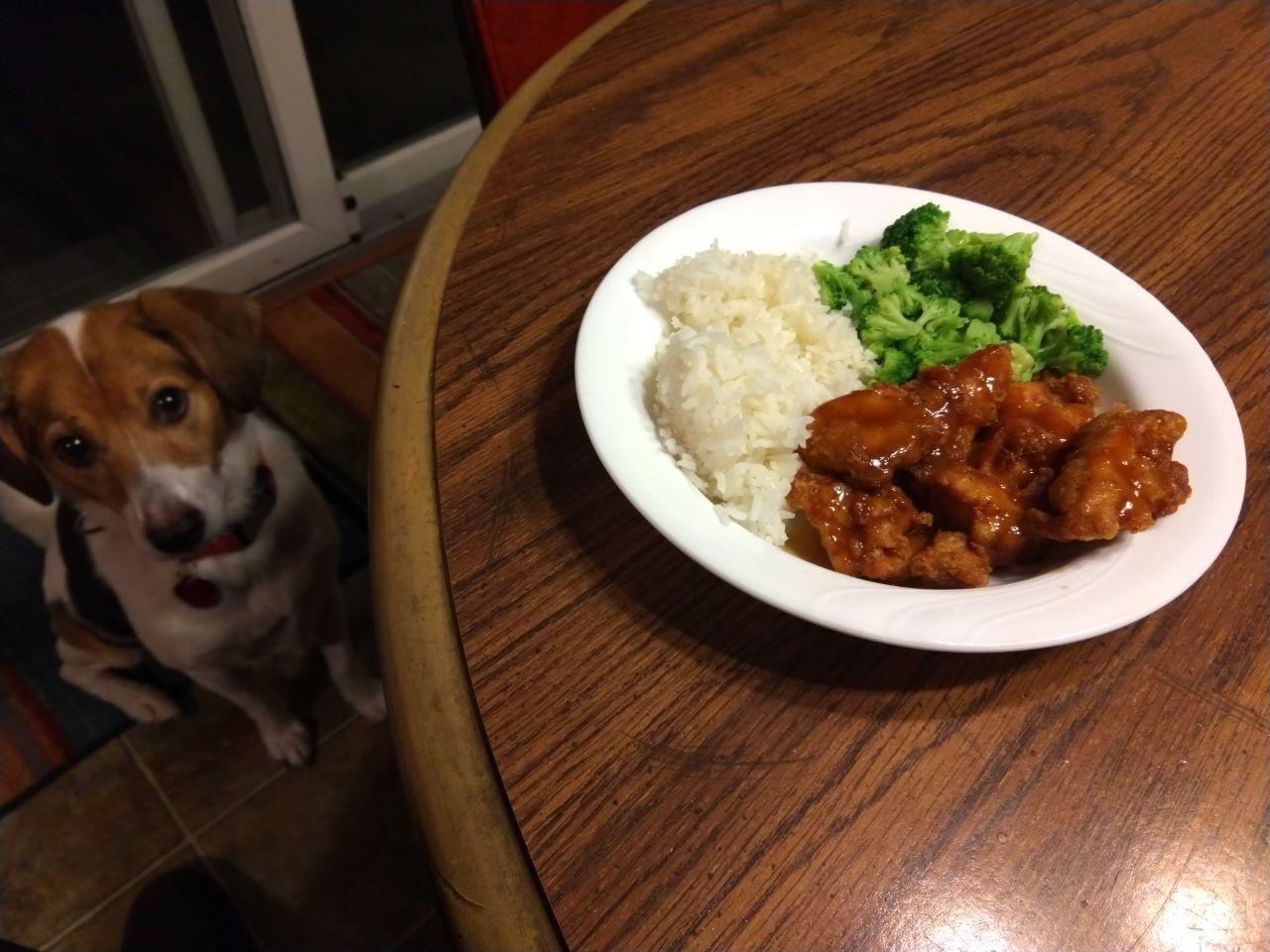 Peanut butter chicken with rice and broccoli. Peanut butter chicken with rice and broccoli.