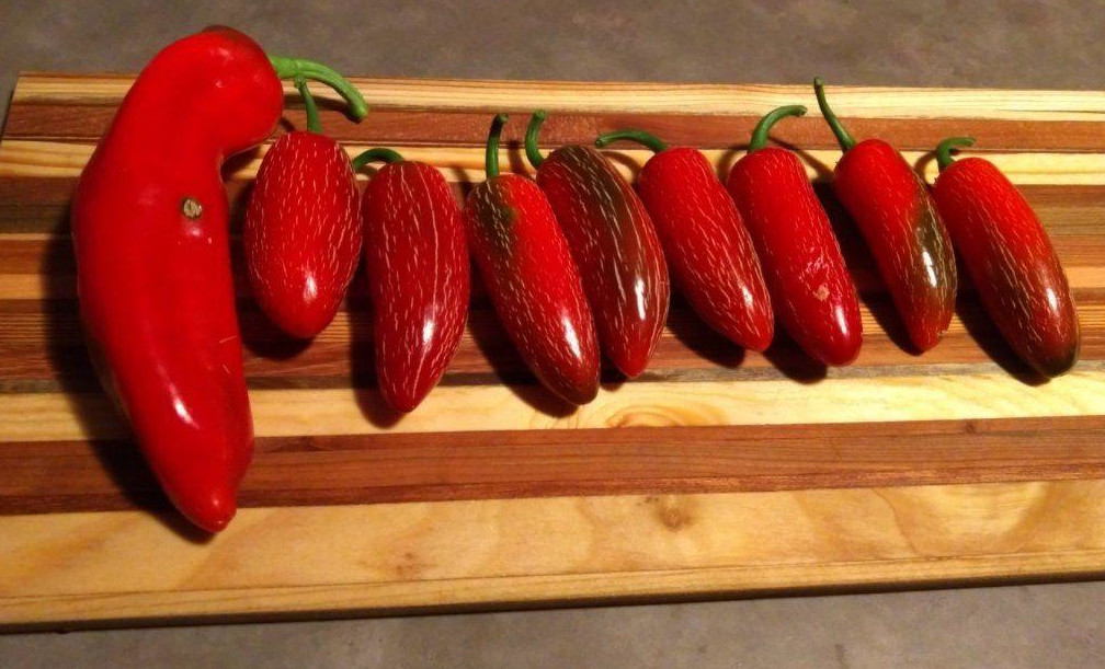 Red jalapenos on a cutting board.